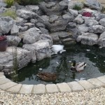 Garden ponds Birmingham